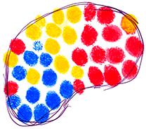 Original sketch of a brain shape made of red, yellow and blue fingerprint dots